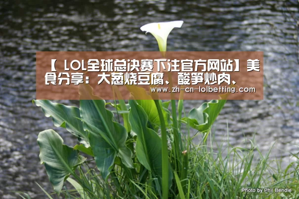  LOL全球总决赛下注官方网站