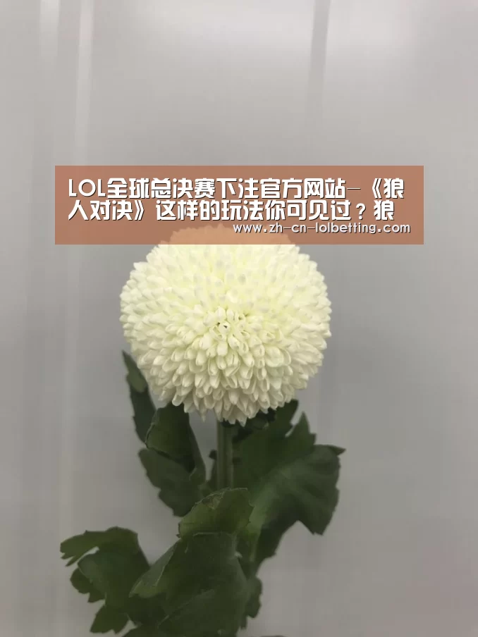 LOL全球总决赛下注官方网站-《狼人对决》这样的玩法你可见过?狼人杀SOLO版!(图4) LOL全球总决赛下注官方网站