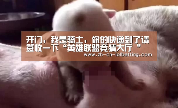开门,我是骑士,你的快递到了请签收一下“英雄联盟竞猜大厅 ”(图4) LOL全球总决赛下注官方网站