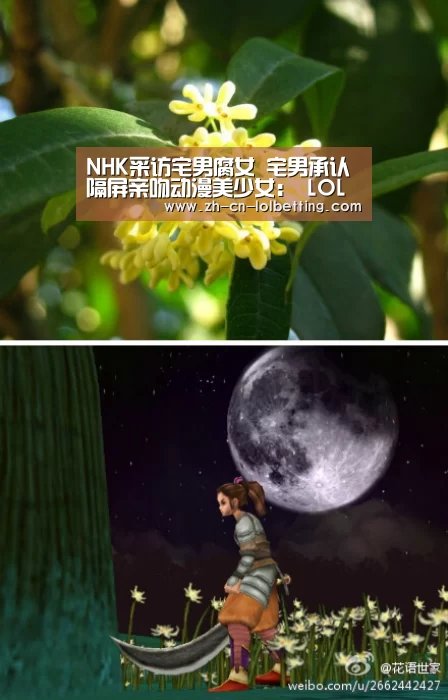 NHK采访宅男腐女 宅男承认隔屏亲吻动漫美少女: LOL全球总决赛下注官方网站(图2) 英雄联盟竞猜大厅