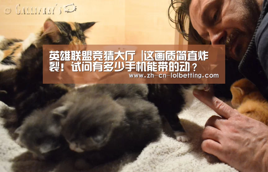 英雄联盟竞猜大厅 |这画质简直炸裂!试问有多少手机能带的动?(图1) LOL全球总决赛下注官方网站